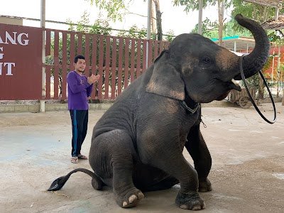 Maha Wang Elephant Camp