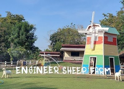 Engineer Sheep Farm Nakhon Sawan