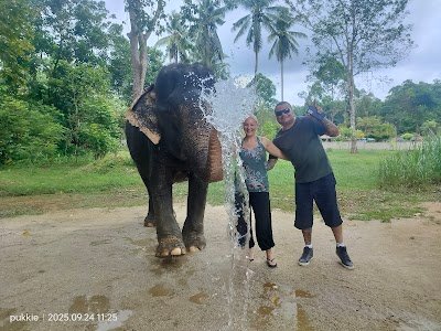 Supaporn Elephant Camp