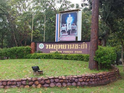 Cha-am Forest Park