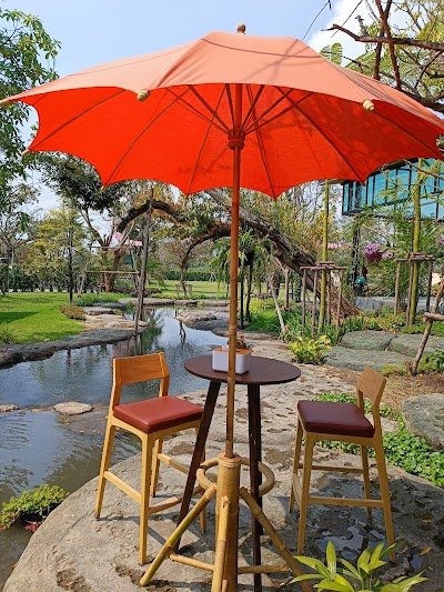 PLANT LIFE CAFE