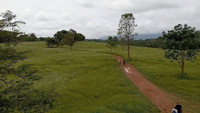 Nong Phak Chi Wildlife Watching Tower