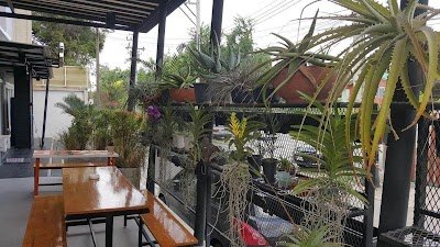 Ricco residence