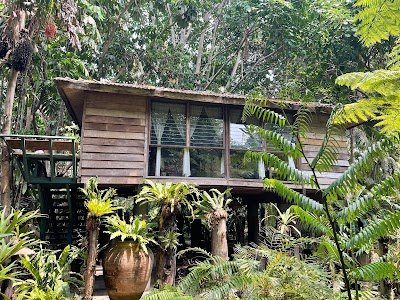 Fern Paradise Hotel