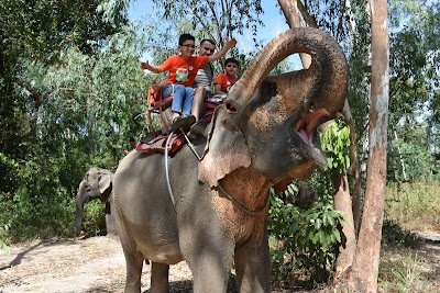 Chang Thai Thappraya Safari