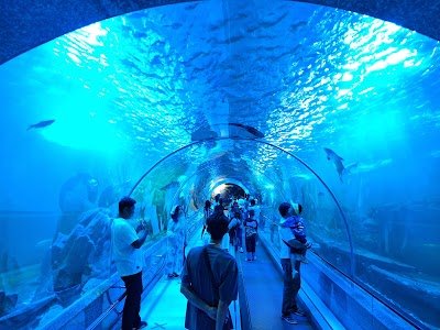 Bueng Boraphet Aquarium